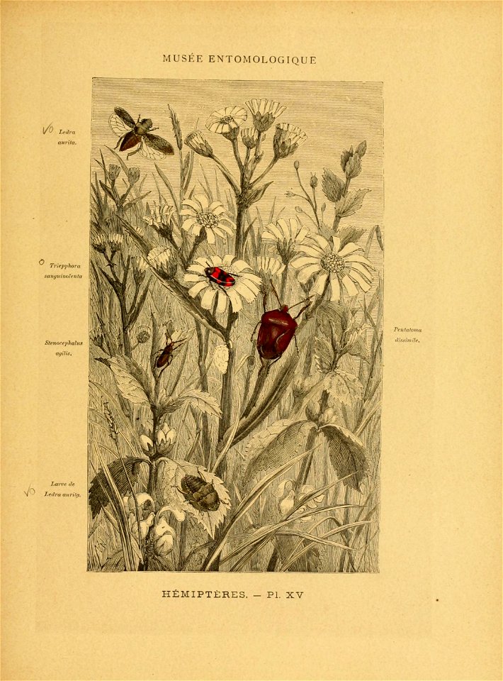 n464_w1150
