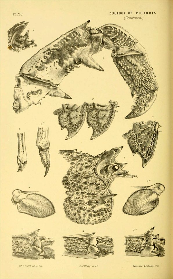 n369_w1150