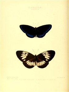 n147_w1150