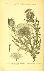 n693_w1150