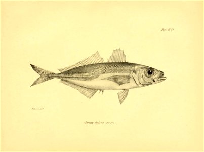 n144_w1150