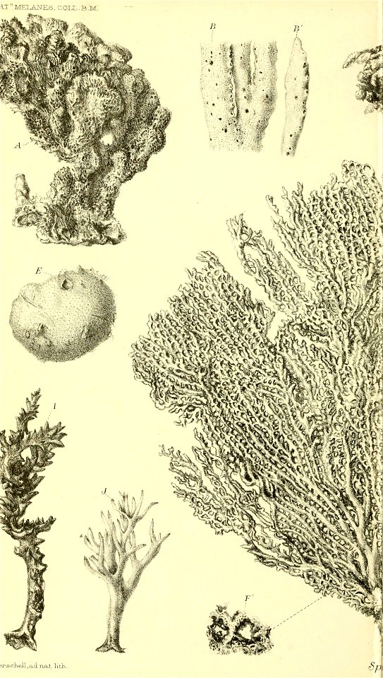 n801_w1150