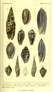 n58_w1150