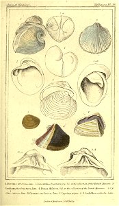 n116_w1150