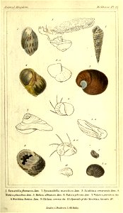 n56_w1150