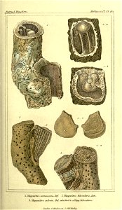 n114_w1150
