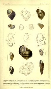 n54_w1150