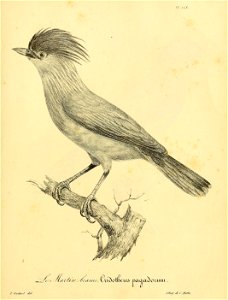 n818_w1150