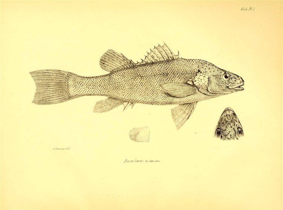 n23_w1150