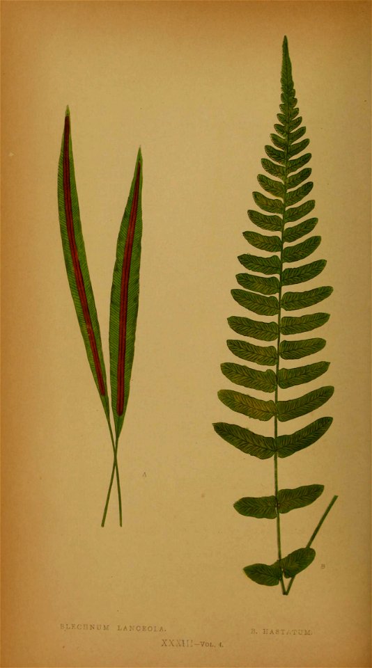 n161_w1150