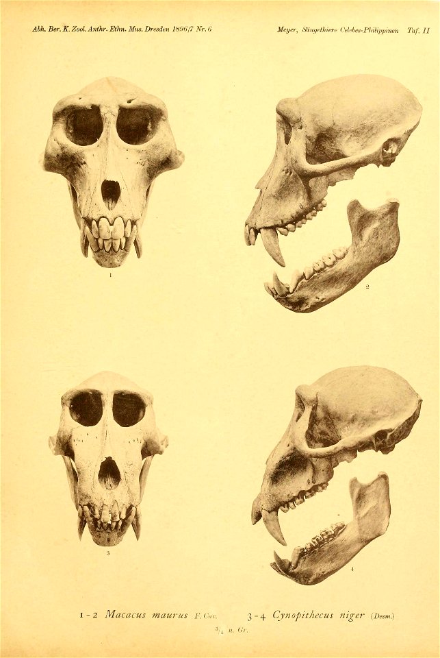 n54_w1150