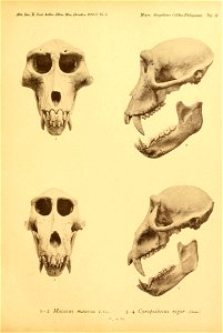 n54_w1150