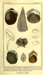 n120_w1150