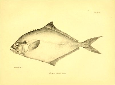 n138_w1150
