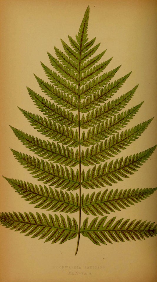 n209_w1150