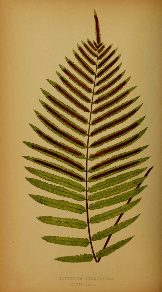 n203_w1150