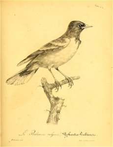 n696_w1150
