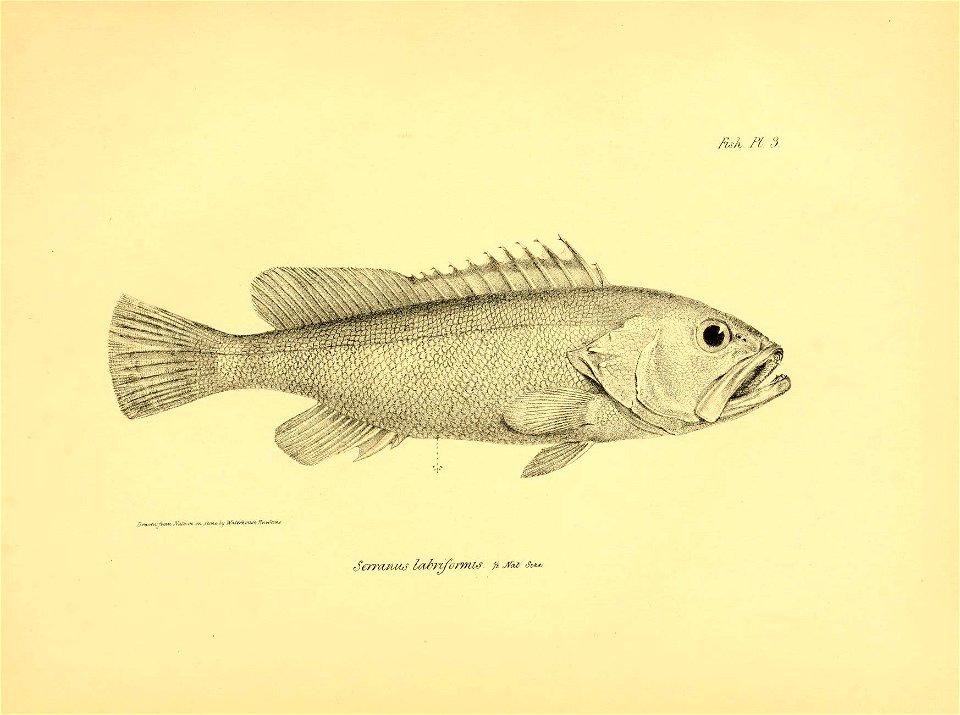 n40_w1150