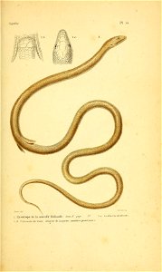 n144_w1150