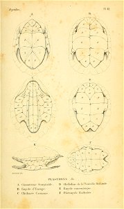 n54_w1150