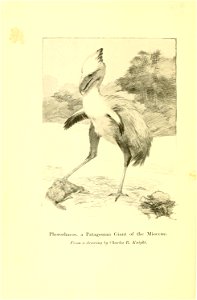 n9_w1150