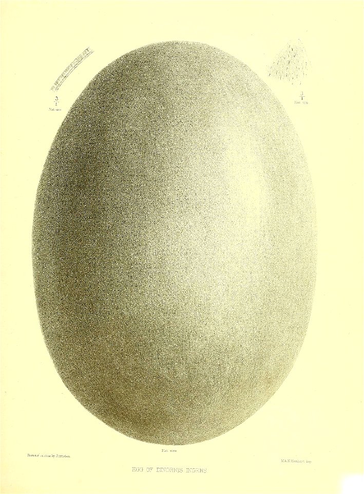 n332_w1150