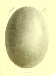 n332_w1150