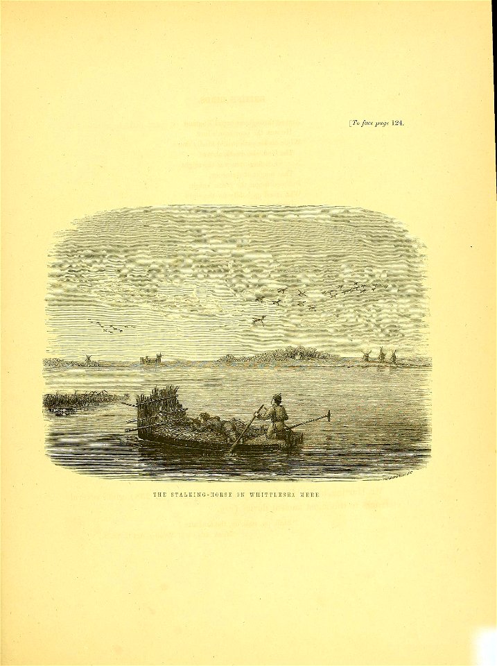 n186_w1150