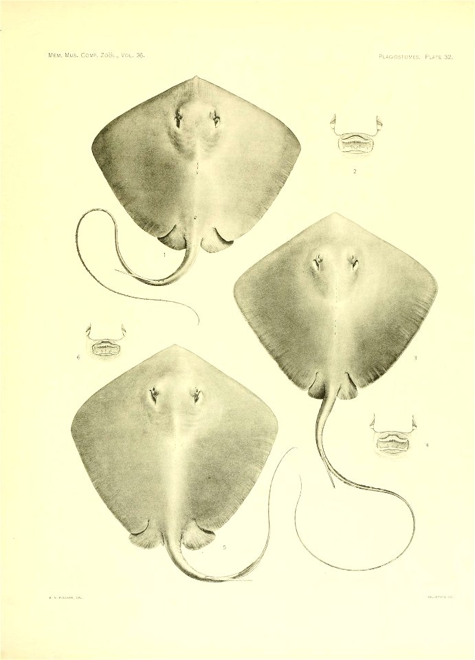 n148_w1150
