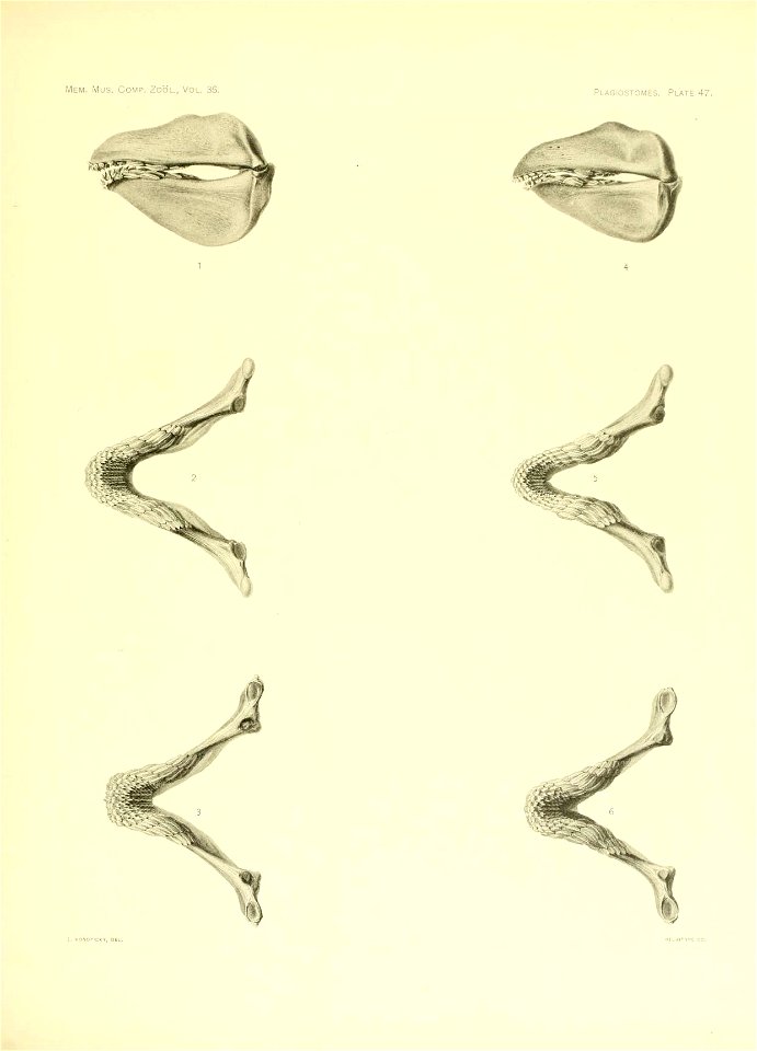n208_w1150