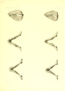 n208_w1150