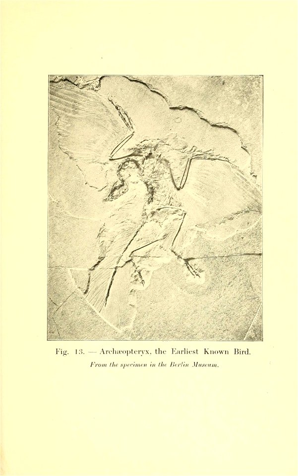 n108_w1150