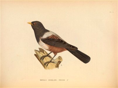 n255_w1150