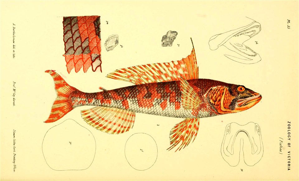 n37_w1150