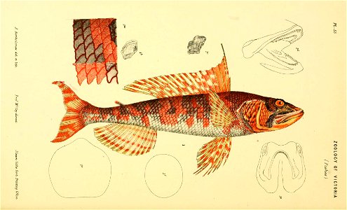 n37_w1150