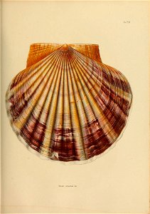 n218_w1150