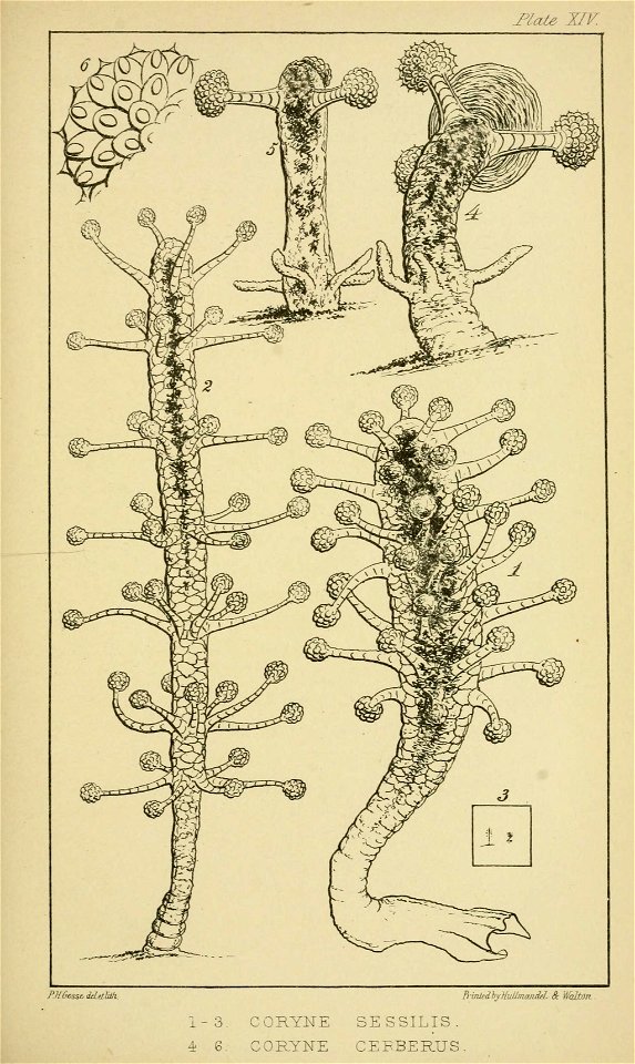 n276_w1150