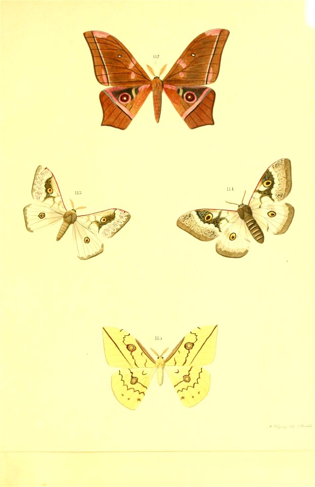 n112_w1150