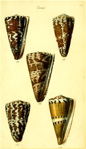 n438_w1150
