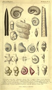 n12_w1150