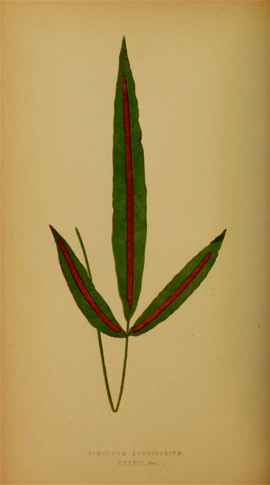 n179_w1150
