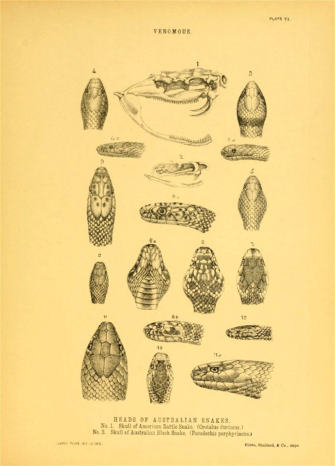 n140_w1150