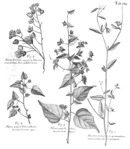 n574_w1150