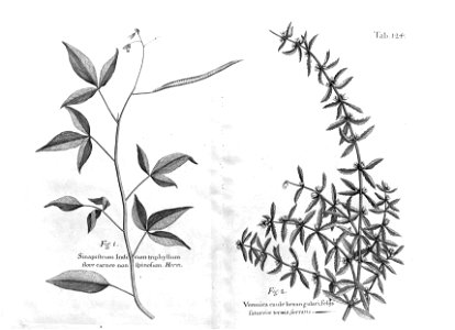 n559_w1150