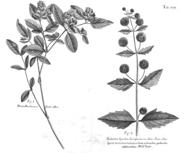 n544_w1150