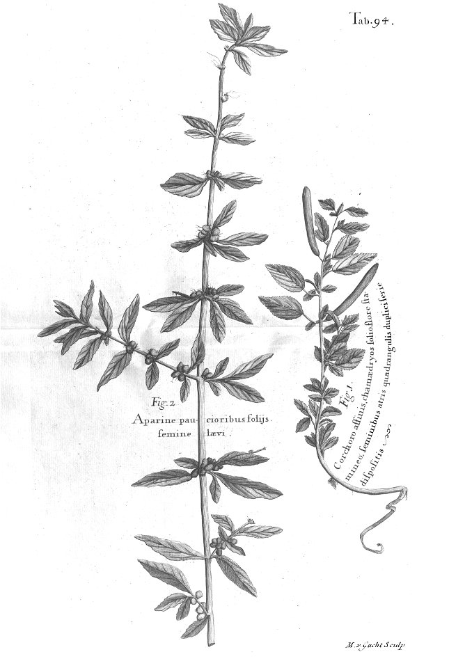 n529_w1150