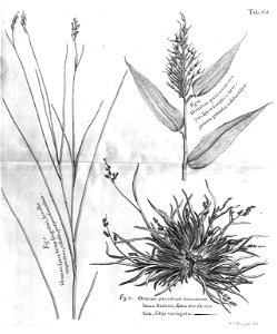 n499_w1150