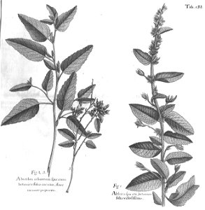 n573_w1150
