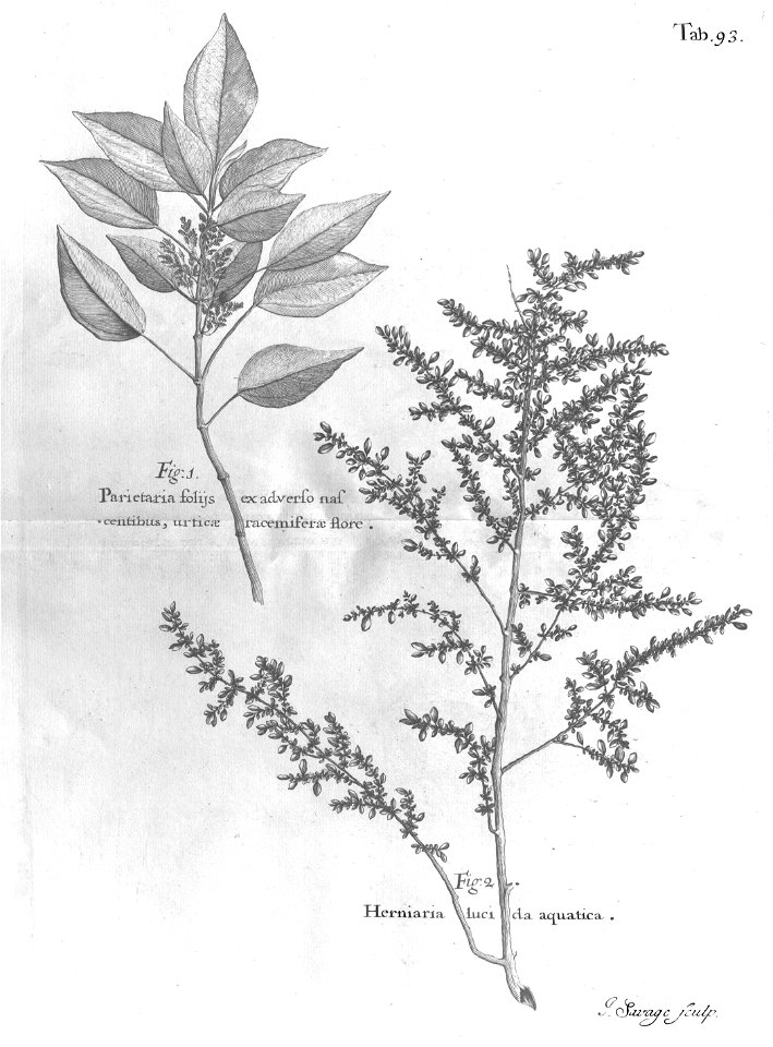n528_w1150