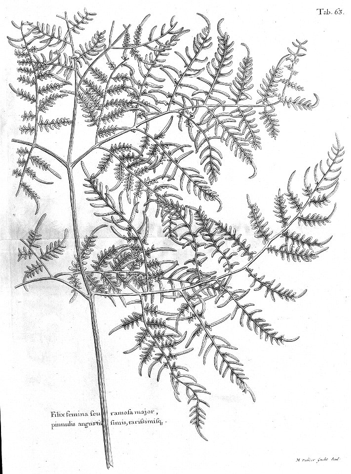 n498_w1150